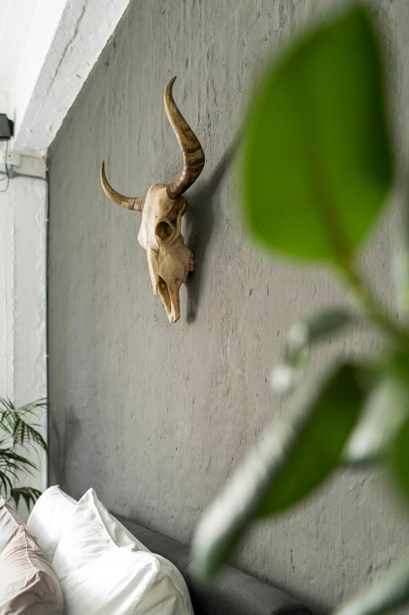 Urban Fox Penthouse By Curiocity Johannesburg Kültér fotó